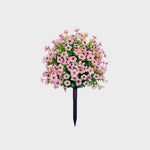 EverBloom | Onderhoudsvrije Tuinbloemen