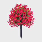 EverBloom | Onderhoudsvrije Tuinbloemen