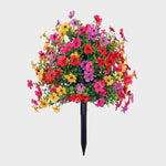 EverBloom | Onderhoudsvrije Tuinbloemen