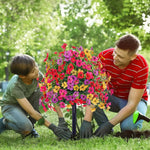 EverBloom | Onderhoudsvrije Tuinbloemen