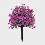 EverBloom | Onderhoudsvrije Tuinbloemen