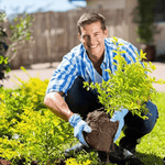 2x Ultra Strong Soil Activator™ | Bodem activeringsmiddel