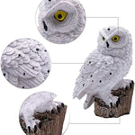GlowOwl | Magische Solar Tuinlamp