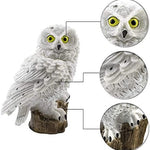 GlowOwl | Magische Solar Tuinlamp