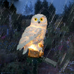 GlowOwl | Magische Solar Tuinlamp