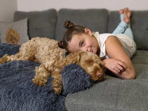 Ultimate Pet Bed™ | 2-in-1 Hondenbed