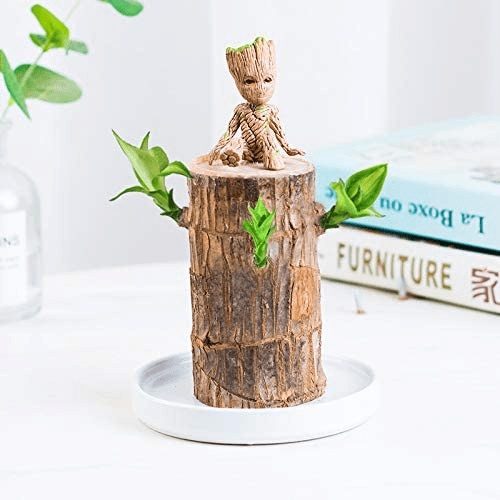 Geluksplant™ | Gemaakt van Braziliaans hout